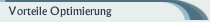 Vorteile Optimierung